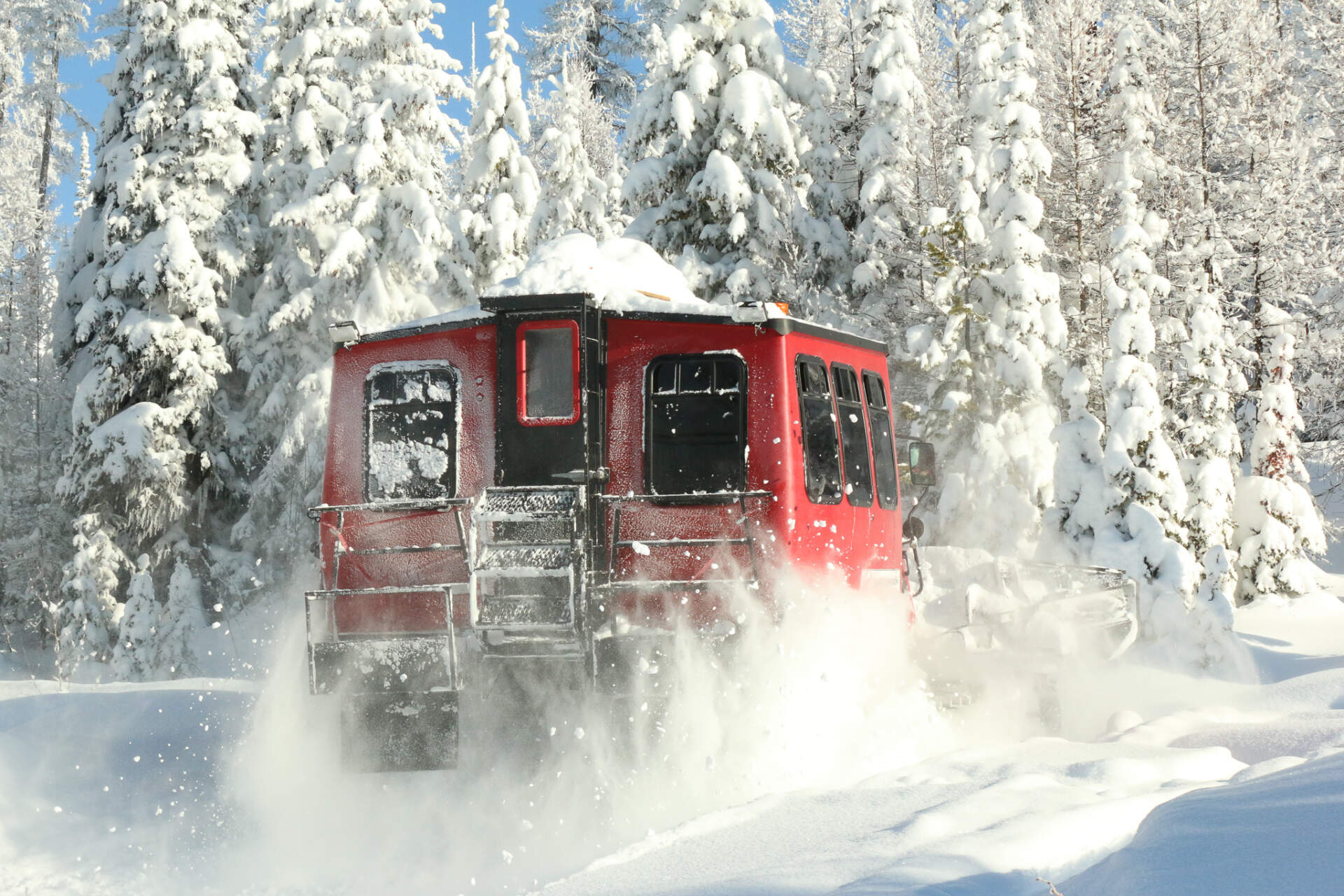 Cat skiing in Whitefish Montana with Great Northern Powder Guides