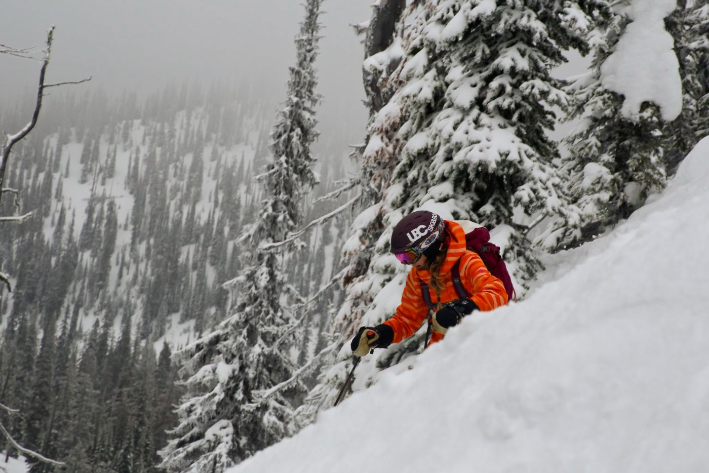 IMG_1416 (1) IMG_1416