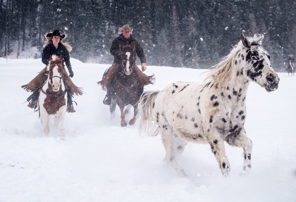 Guests watching horses gallop across snow-covered Bar W Ranch.