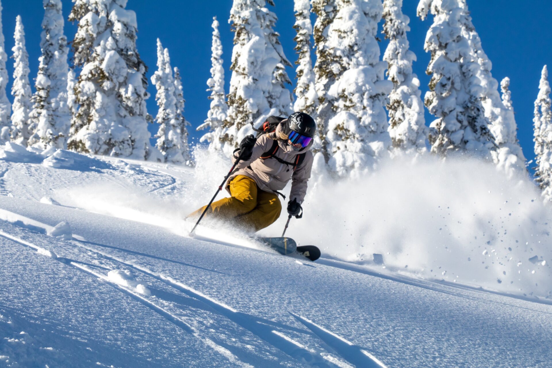Great Norther Powder Guides Cat Skiing in Whitefish, Montana
