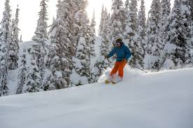 The Dallas Morning News